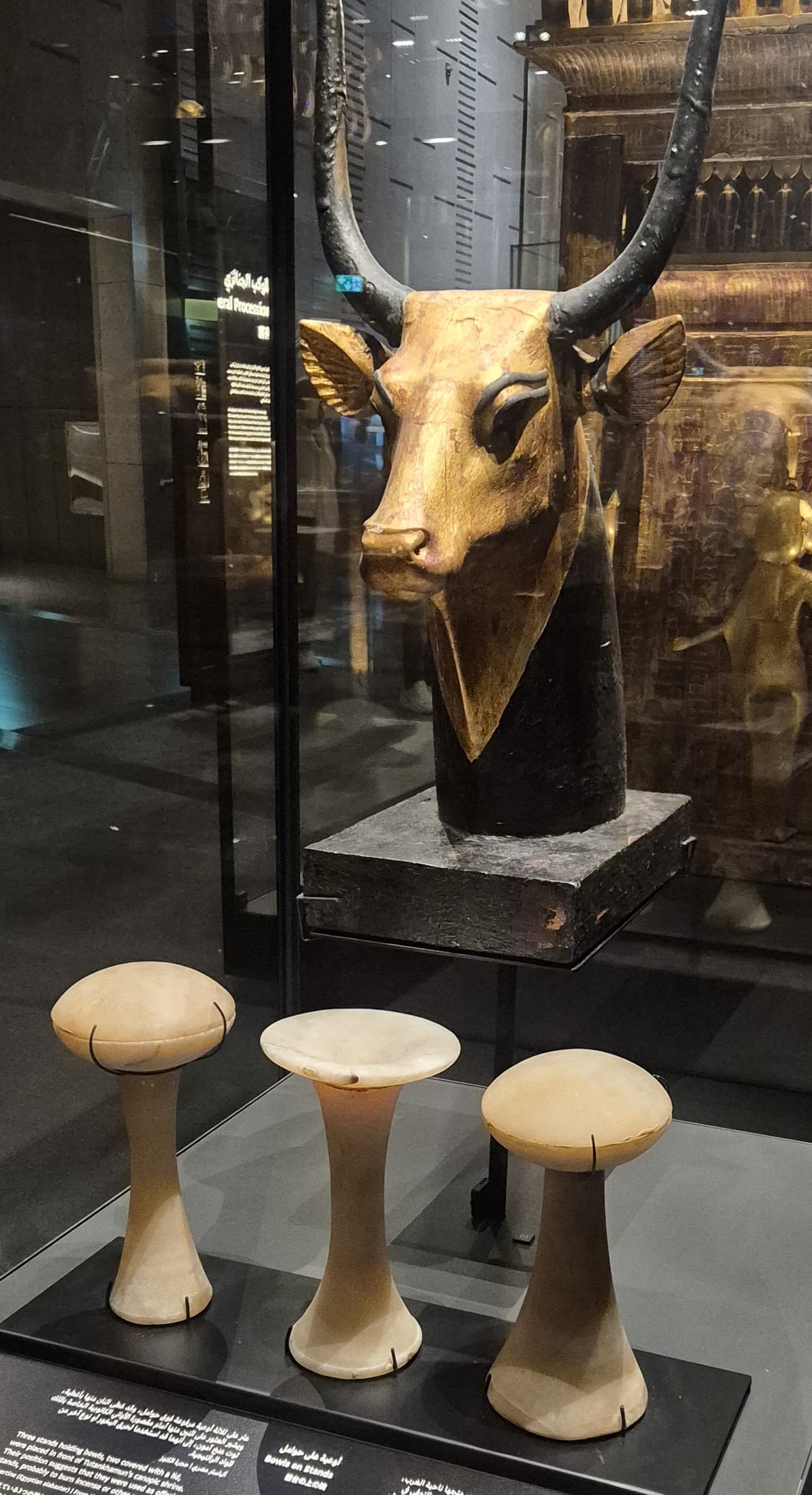Head of a Cow & Bowls on Stands